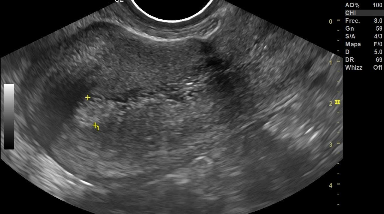Montserrat Olvera Juárez-6