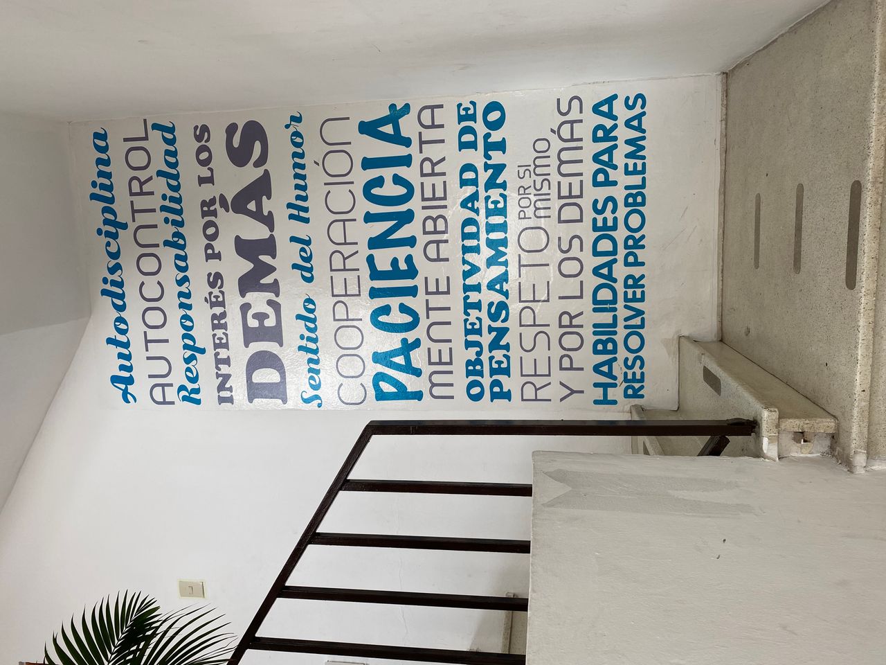 Marisol Horta Gómez-4