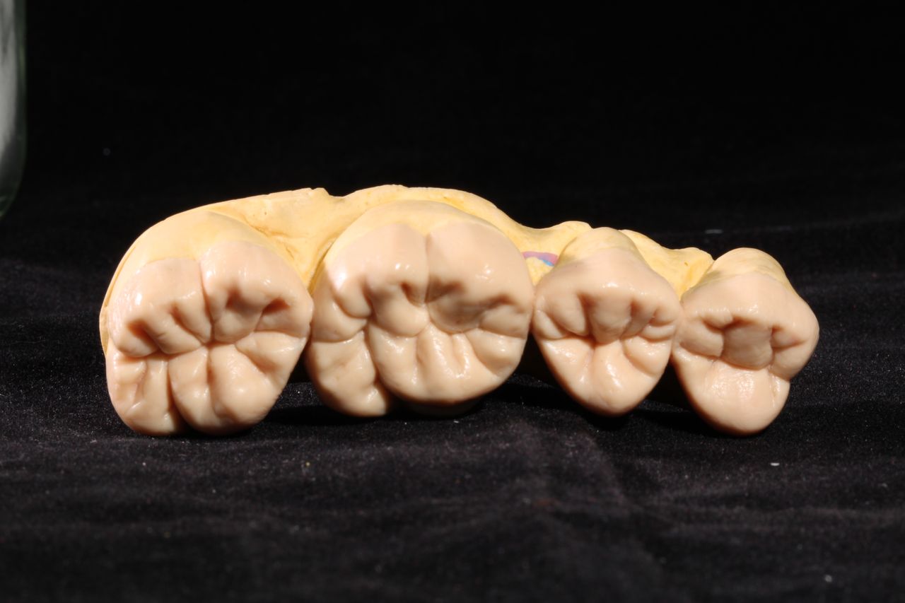 Irma Citlaly Espinosa Ramos-2