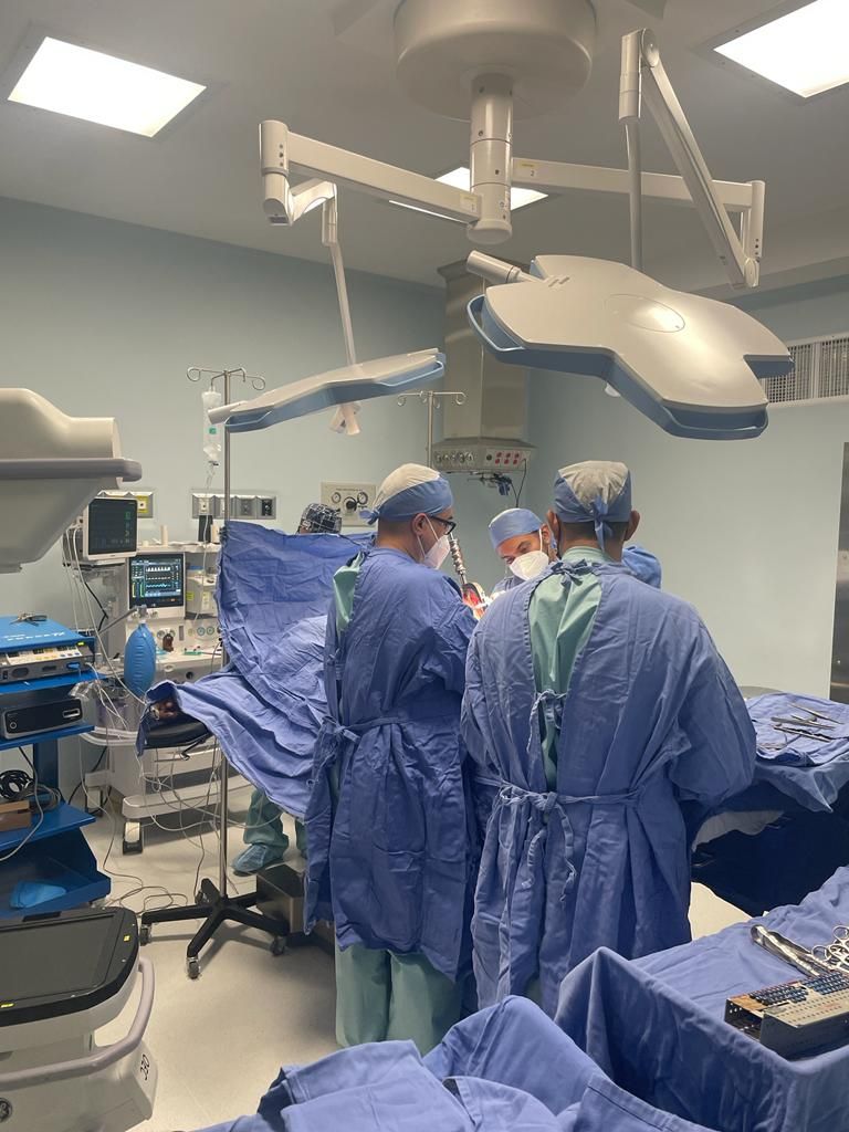 Felix Alfaro Arias-30