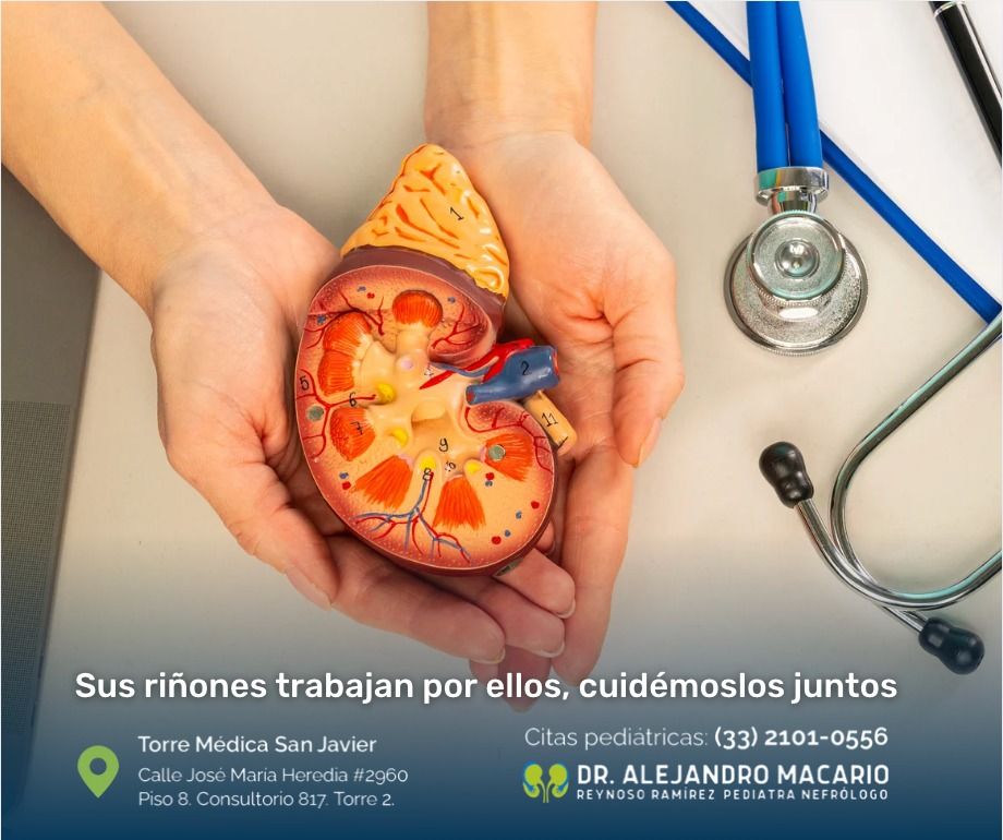 Alejandro Macario Reynoso Ramírez-14