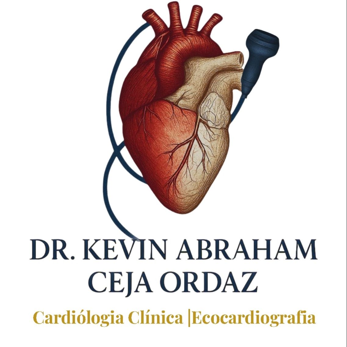 Kevin Abraham Ceja Ordaz-0