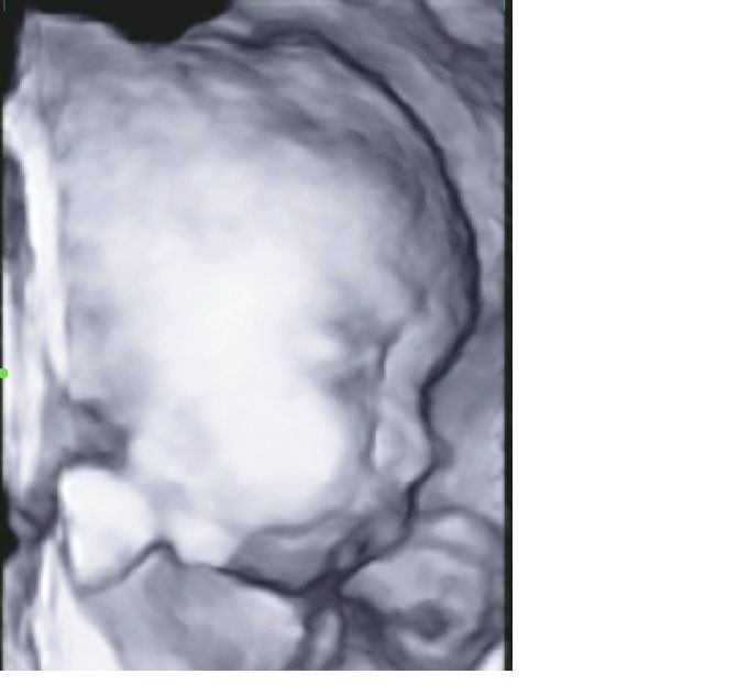 Mario López Franco-4