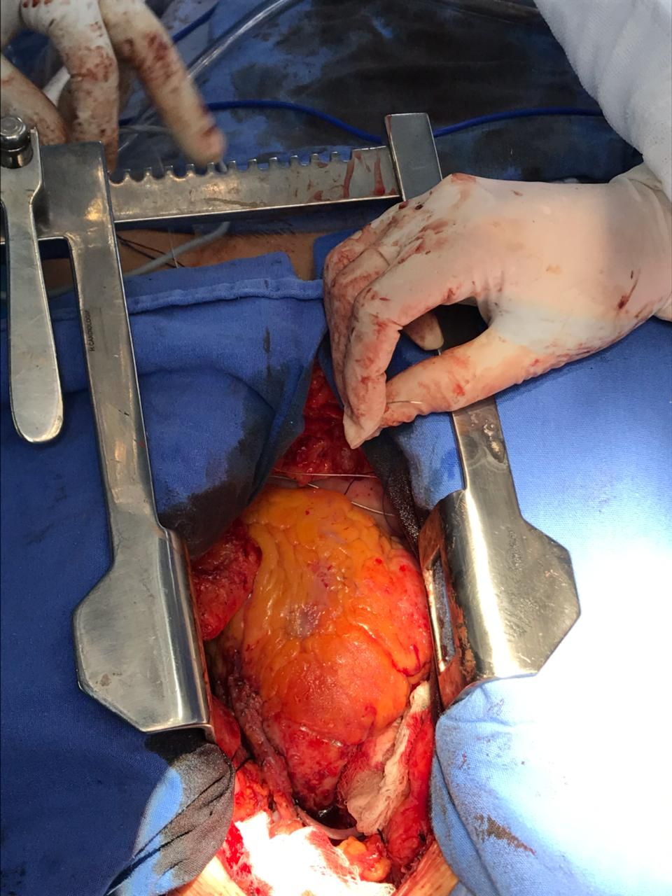 Victor Manuel Carmona Delgado-18