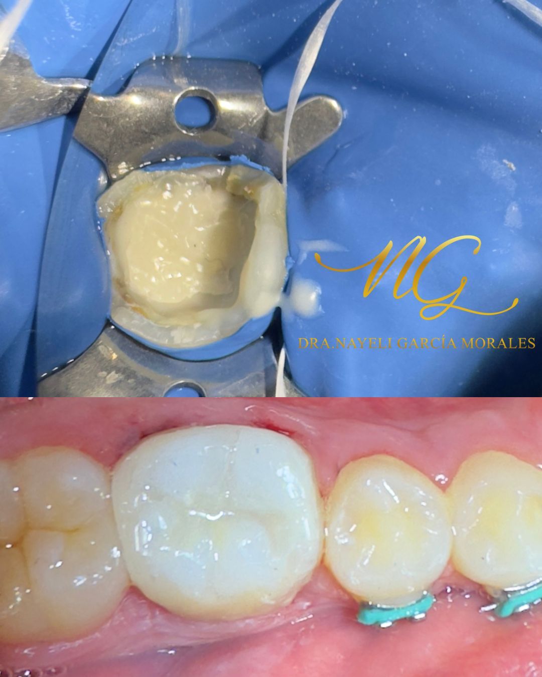 Nayeli Garcia Morales-2