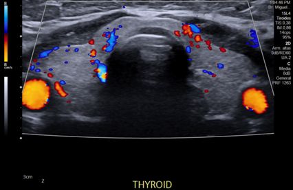 Miguel Franco Estrada-8