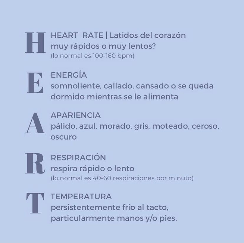 Miriam Guerra Arroyo-36