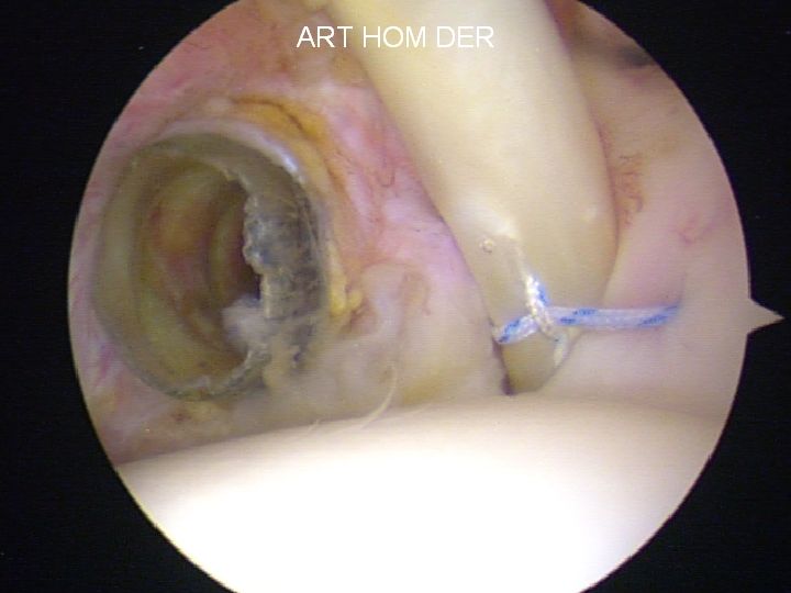 Juan Manuel Viruega Avalos-9