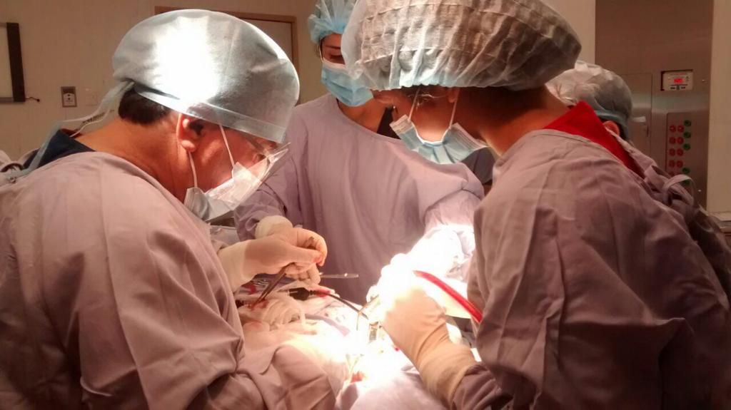 Miguel Tapia Ruiz-16