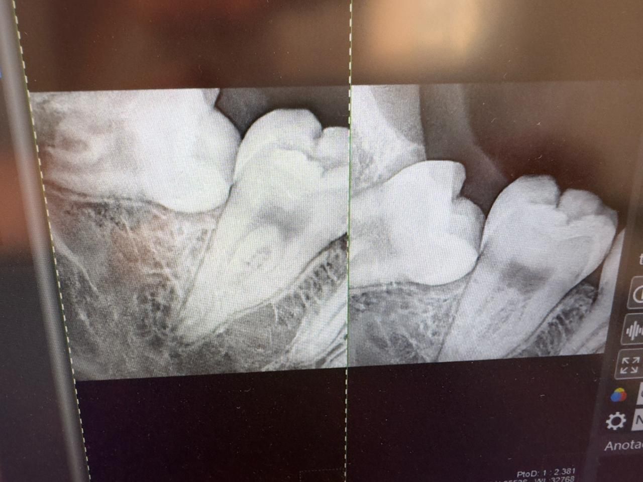 Nayeli Garcia Morales-19