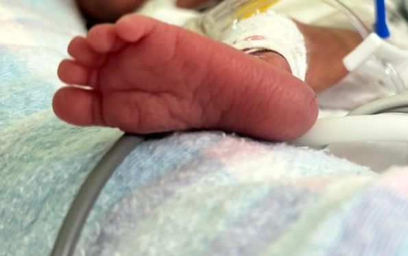 Daniela Ramos Pantoja-3