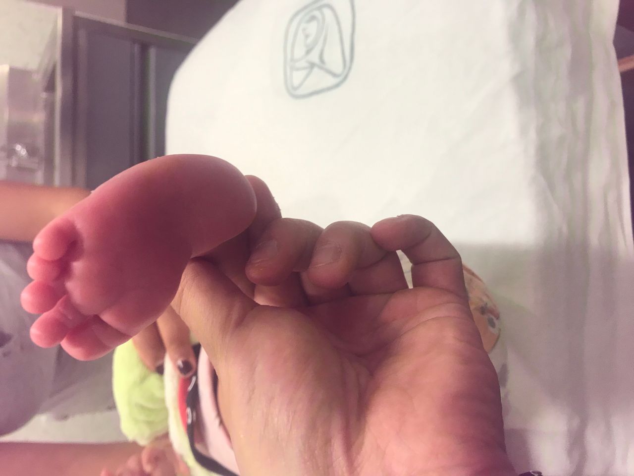 Ignacio Osvaldo Fortis Olmedo-33