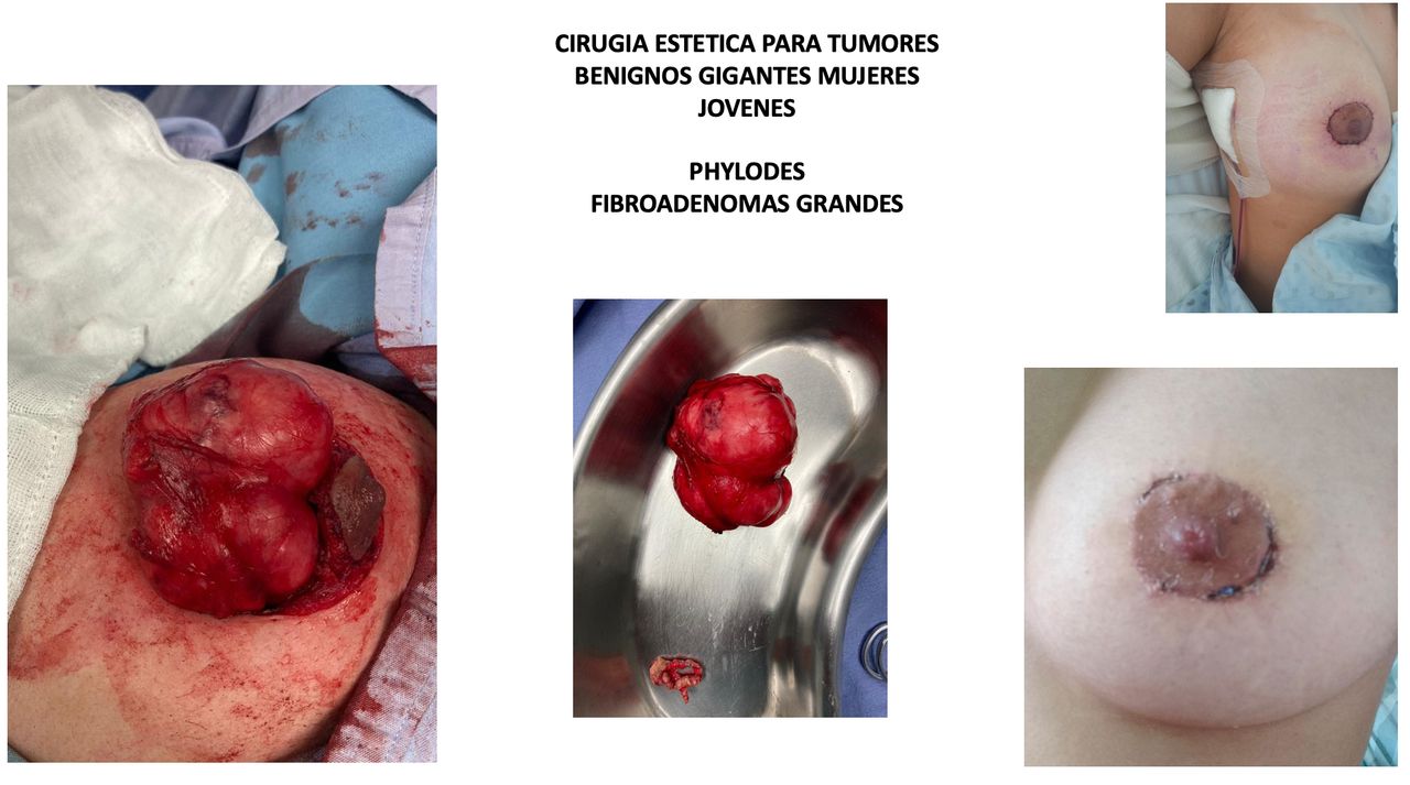 Atieel Flores Morales-2