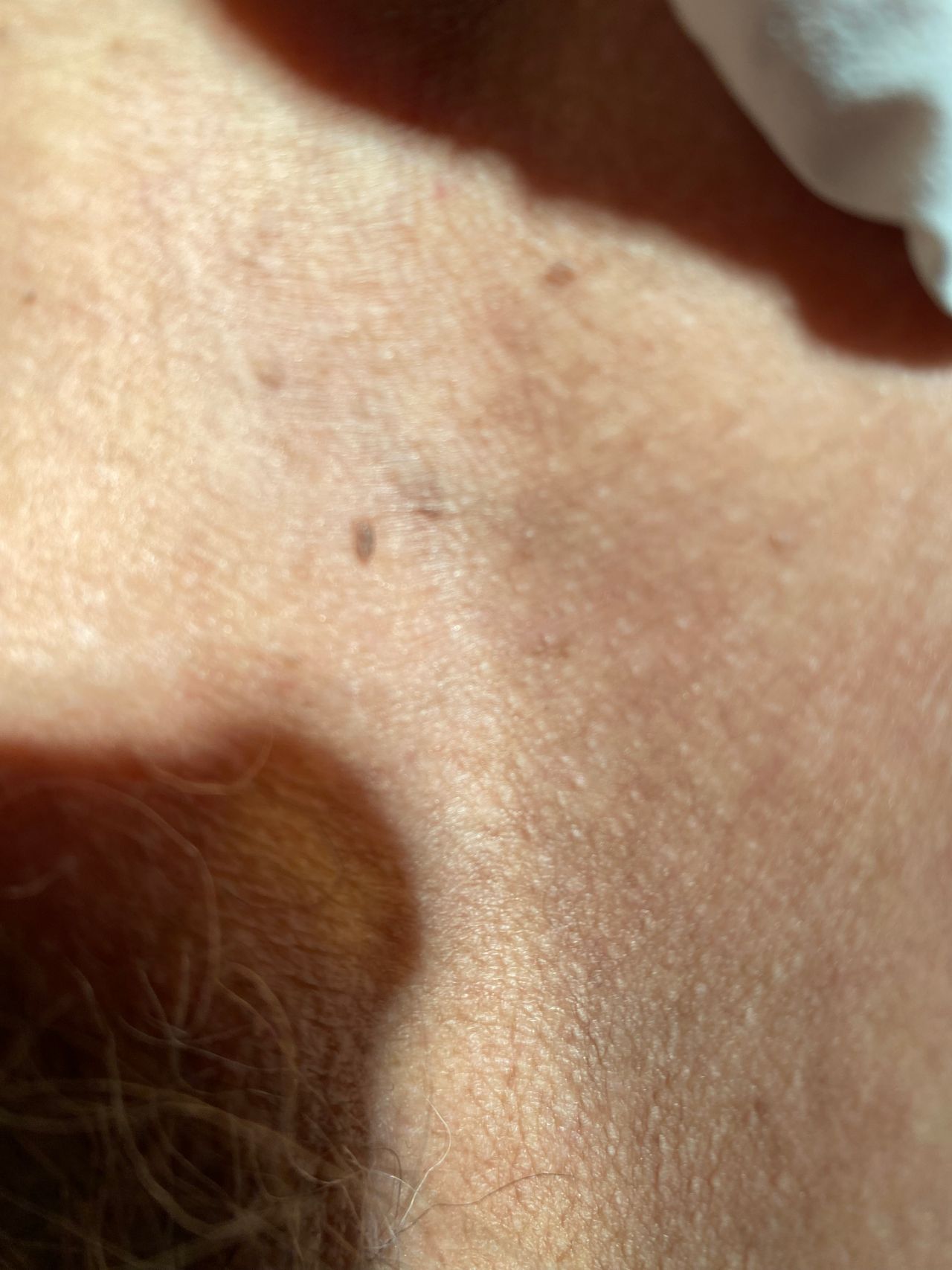 Lilia Gutierrez Franco-7