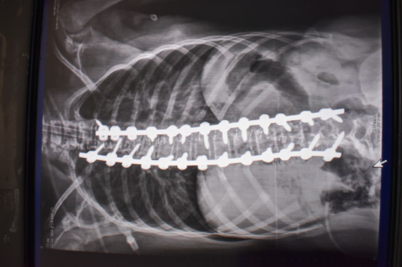 Jose Eduardo Larrinua Betancourt-5