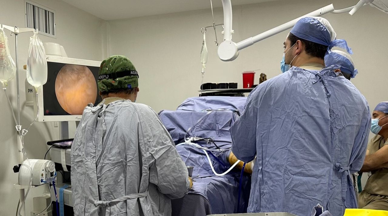 Daniel Romero Planter-2