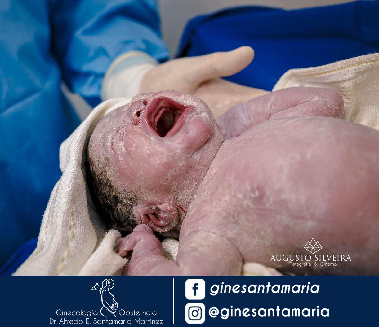 Alfredo Eduardo Santamaria Martinez-5