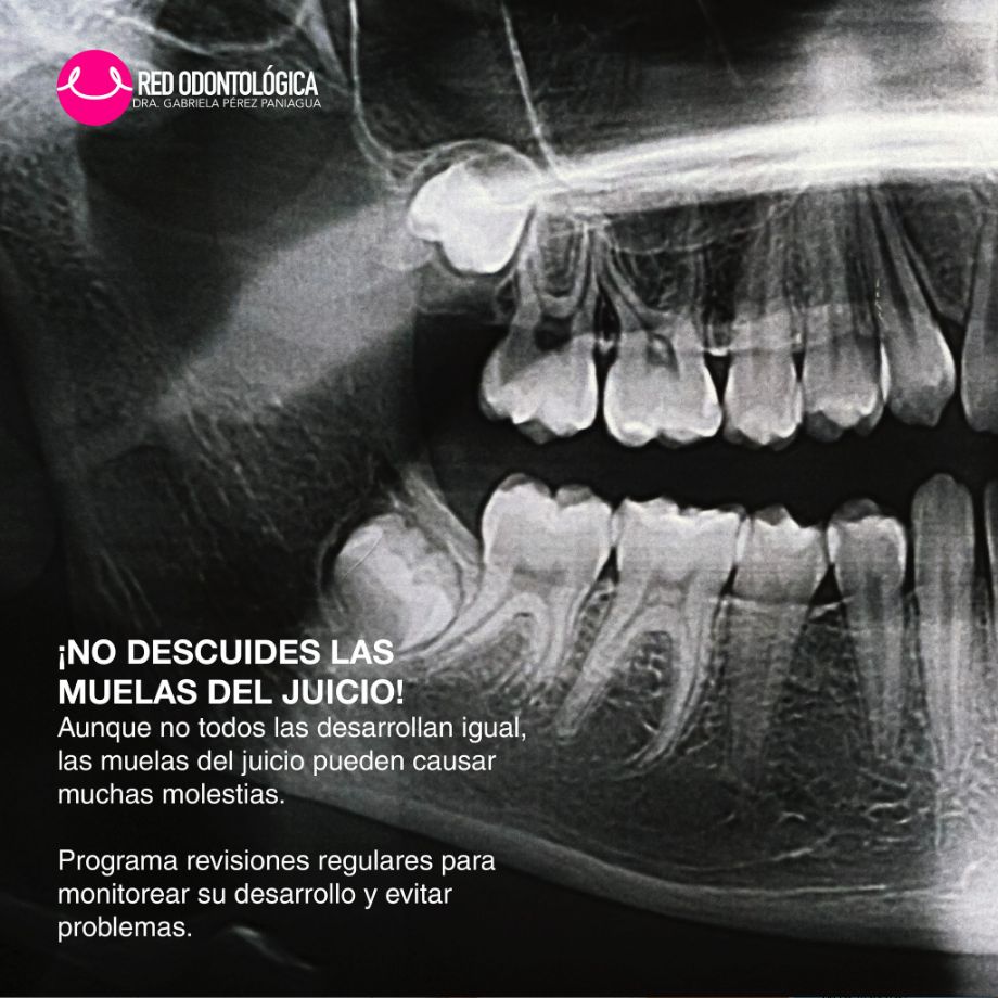 Gabriela Perez Paniagua-20