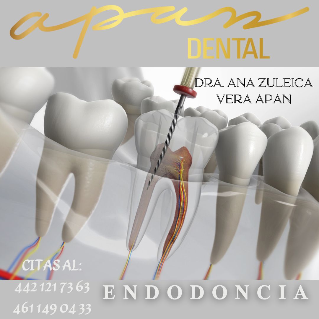 Zuleica Vera Apan-24