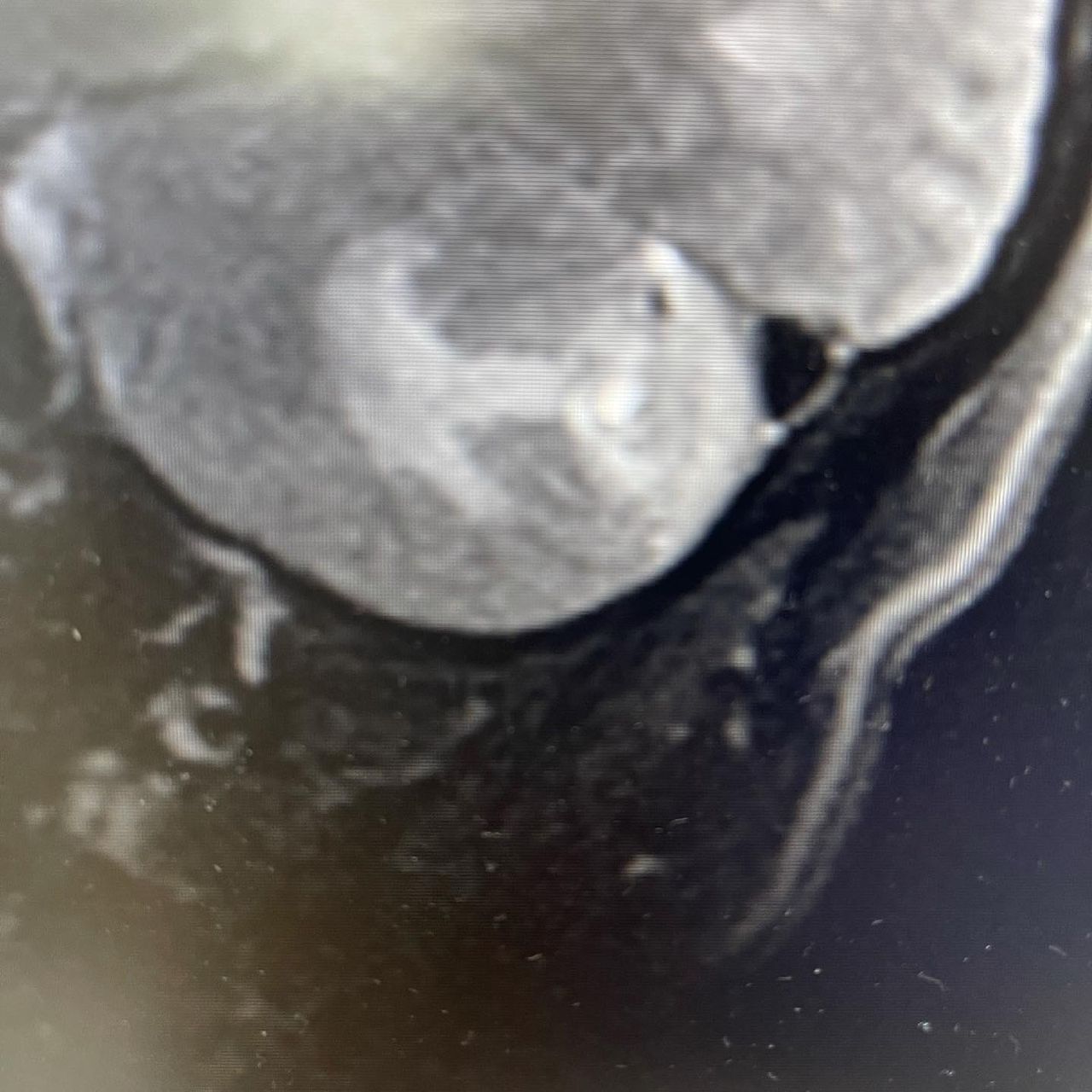 José Luis Arista Ramírez-0