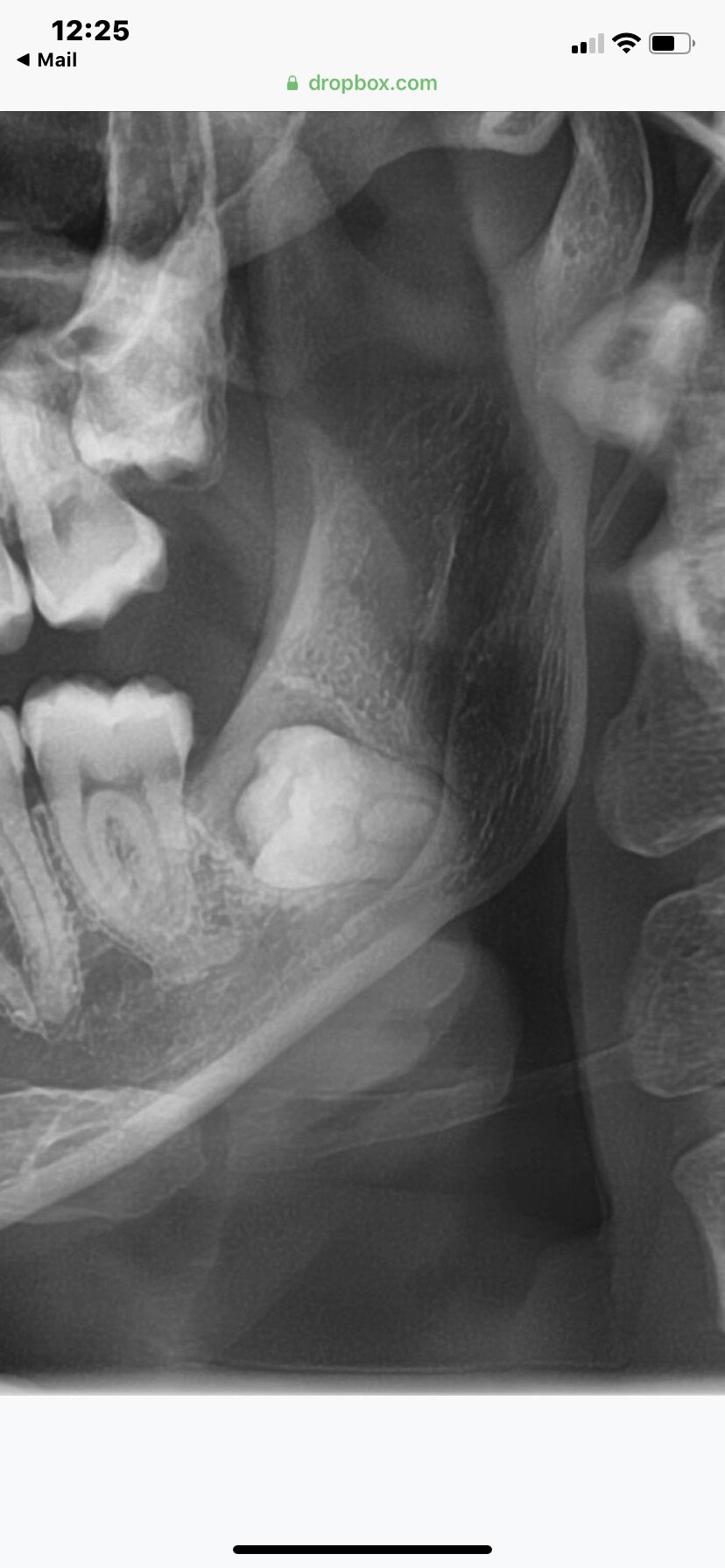 María Teresa Gómez Serrano-11