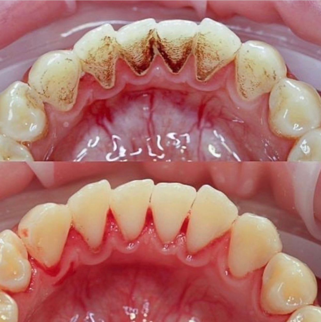 Daniela Rodríguez Ayala-12