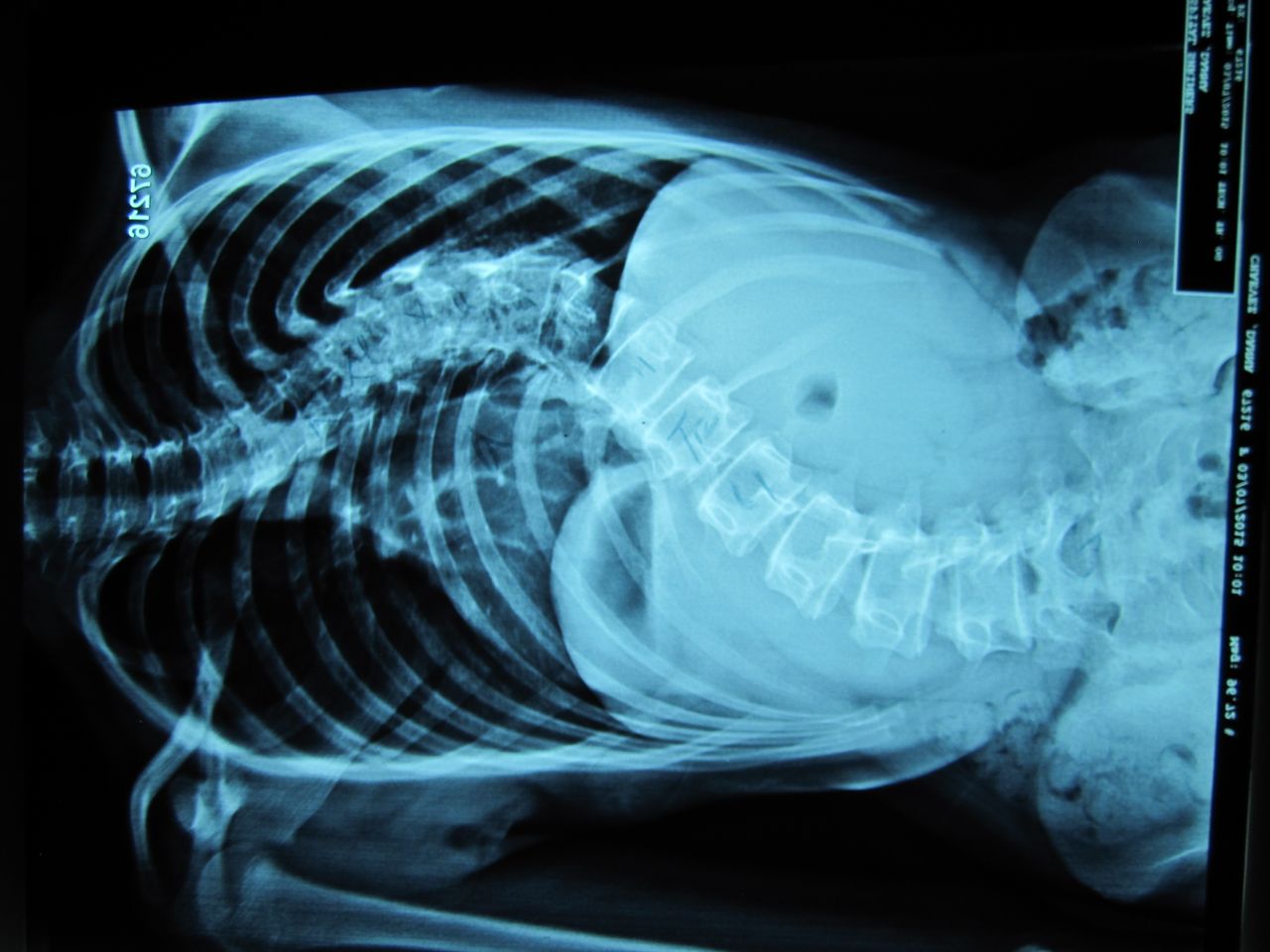 José Antonio Canales Najera-7