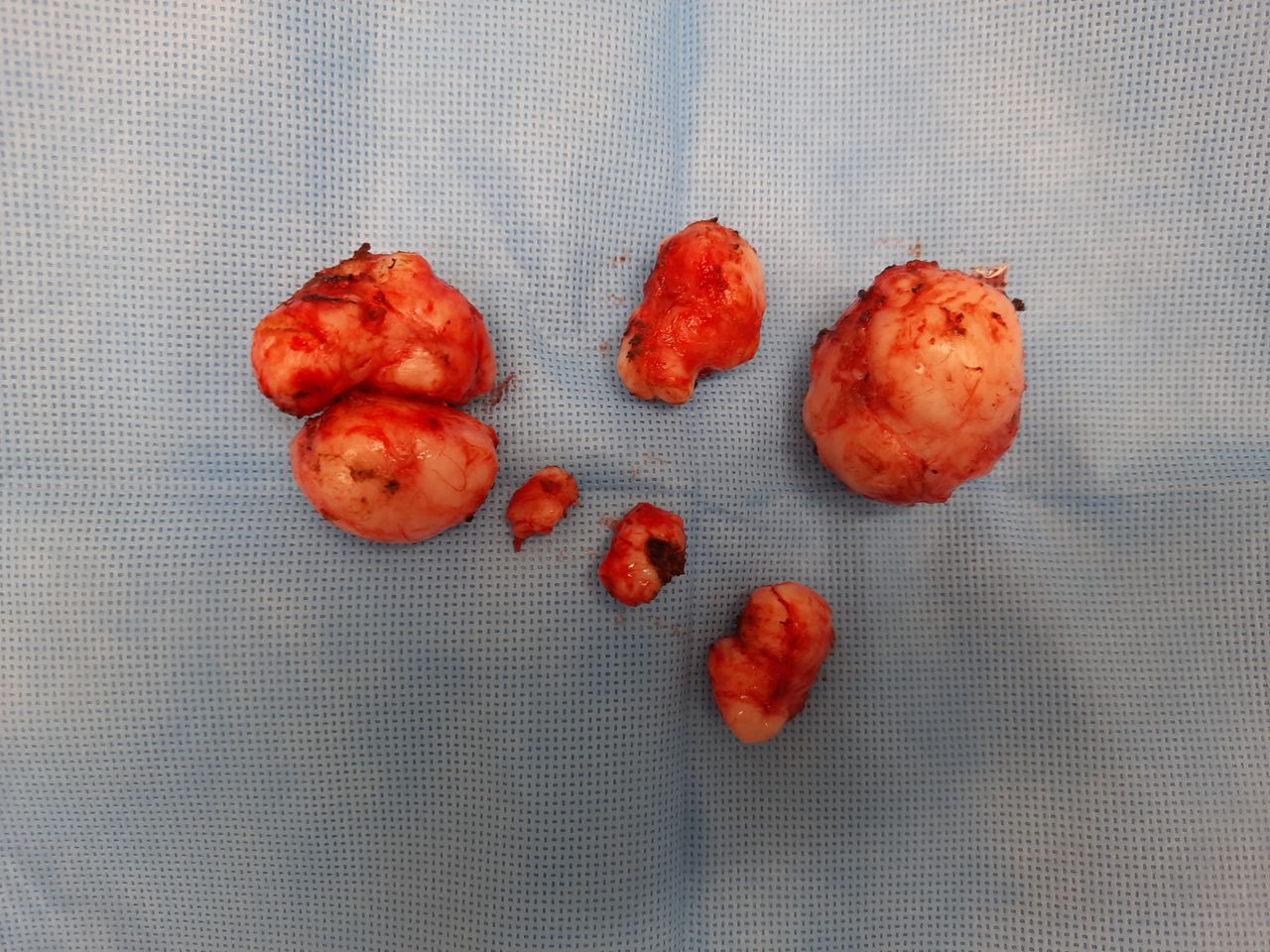 Nayeli Martínez Jaime-16