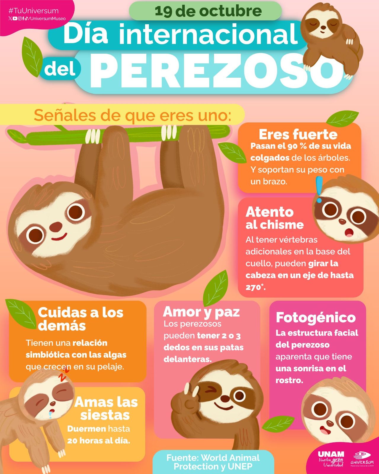 Raymundo Alejandro Cuevas Escalante-357