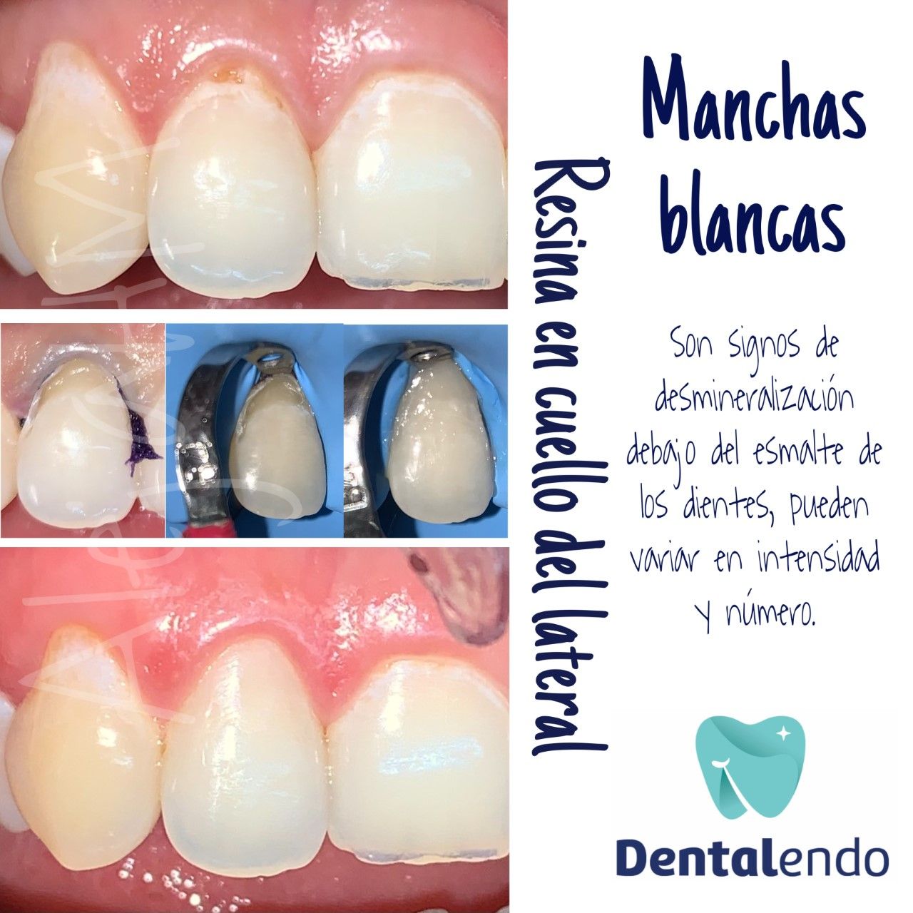 Alejandra Heredia Morán-13