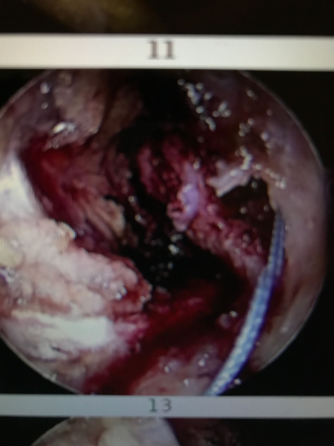 Juan Manuel Viruega Avalos-15