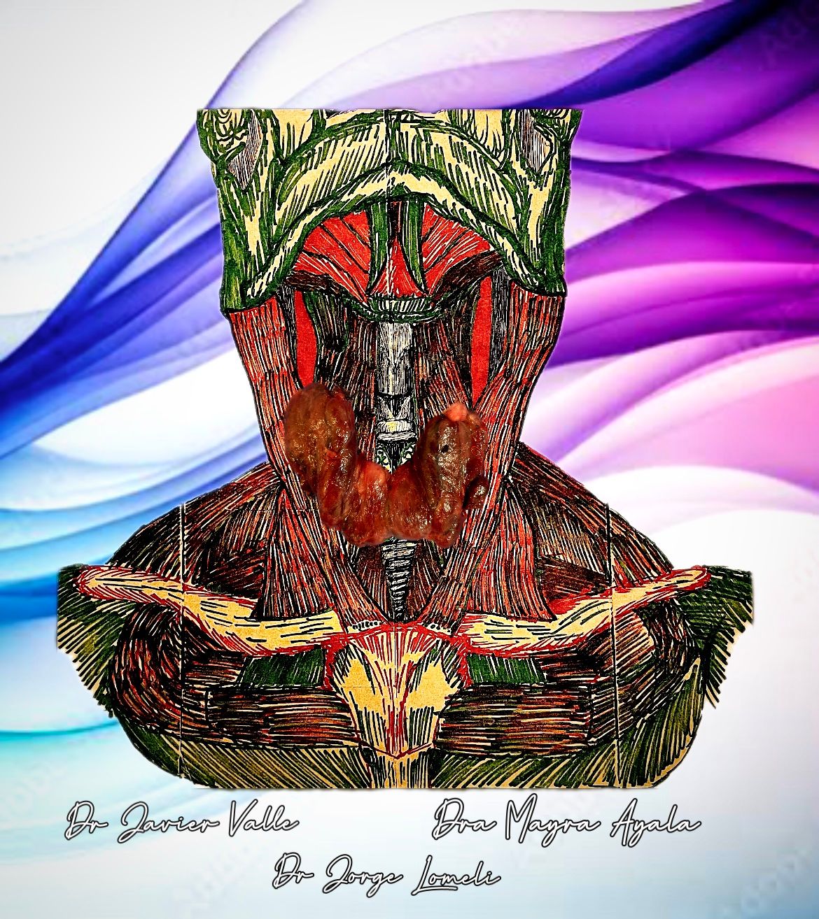 Jorge Antonio Lomeli Muñoz-85