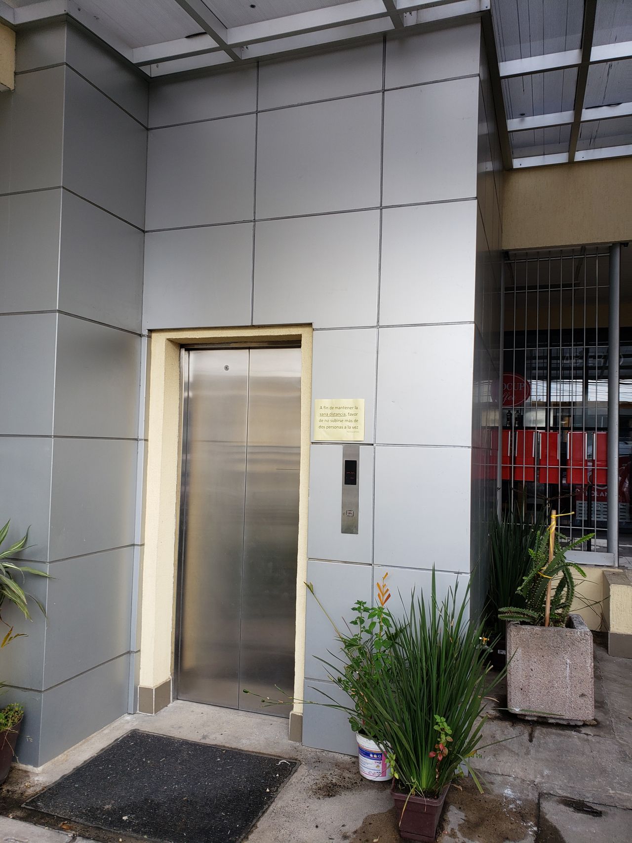 Delia Vásquez Lemus-0