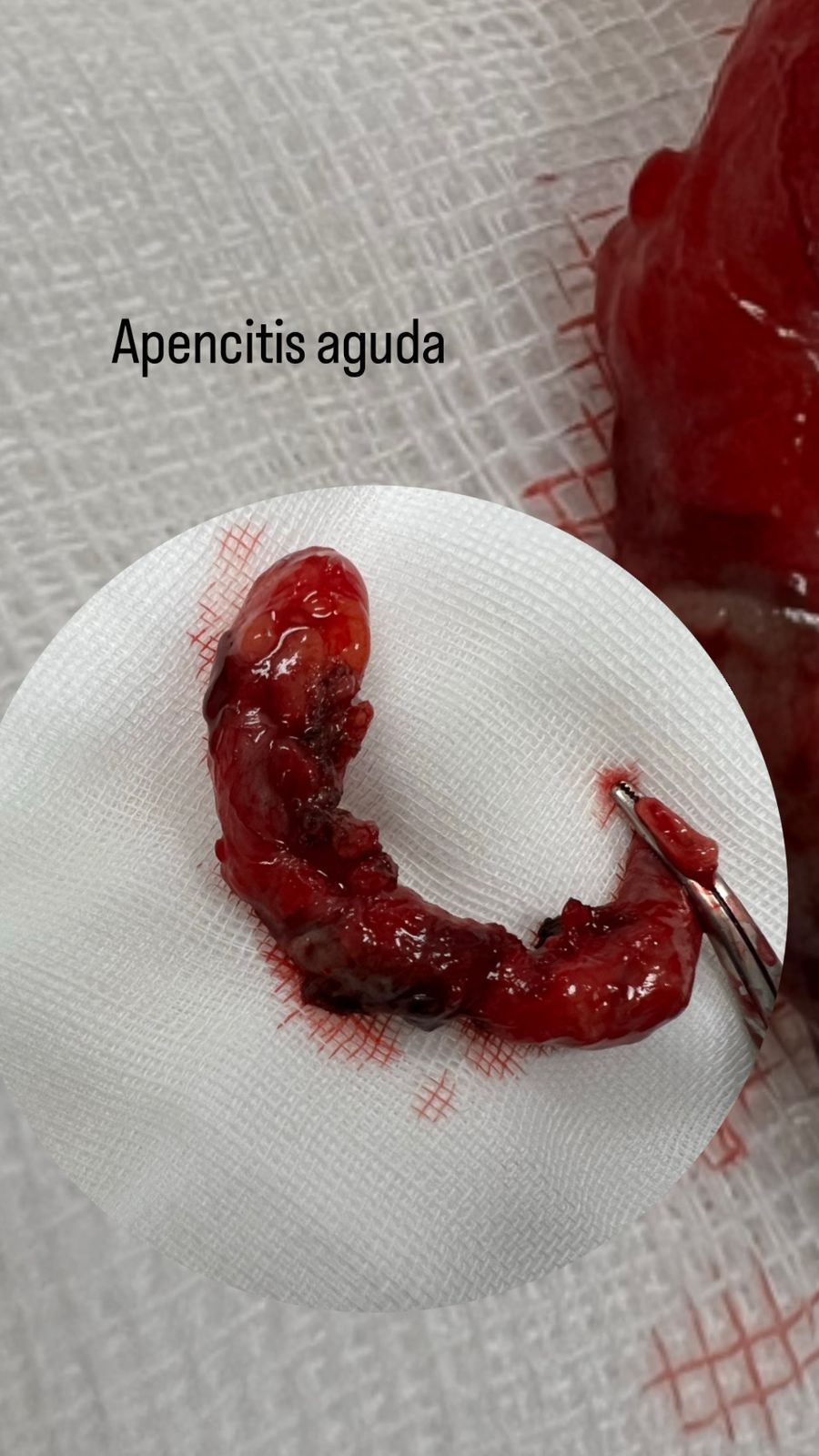 Andrea Carrillo Alvarez-3