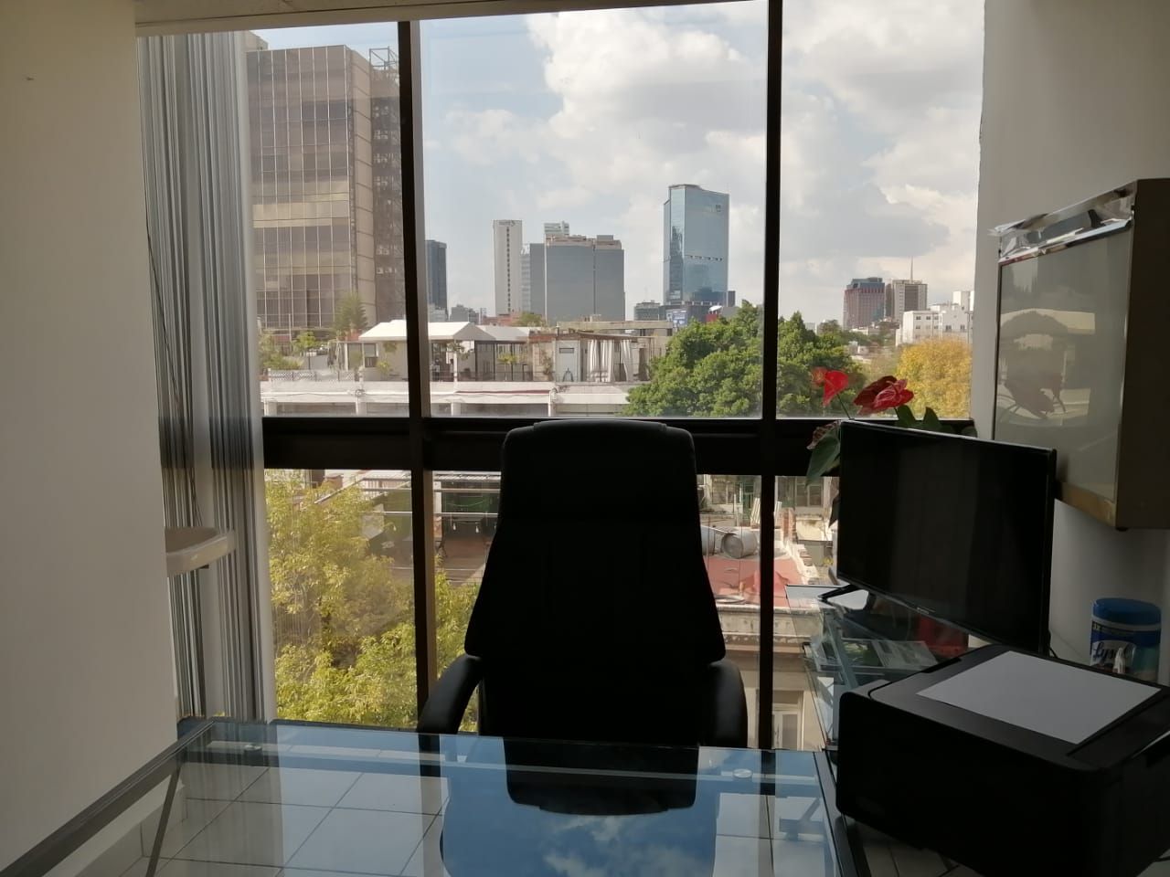 Dafne Itzel Campa Monroy-1