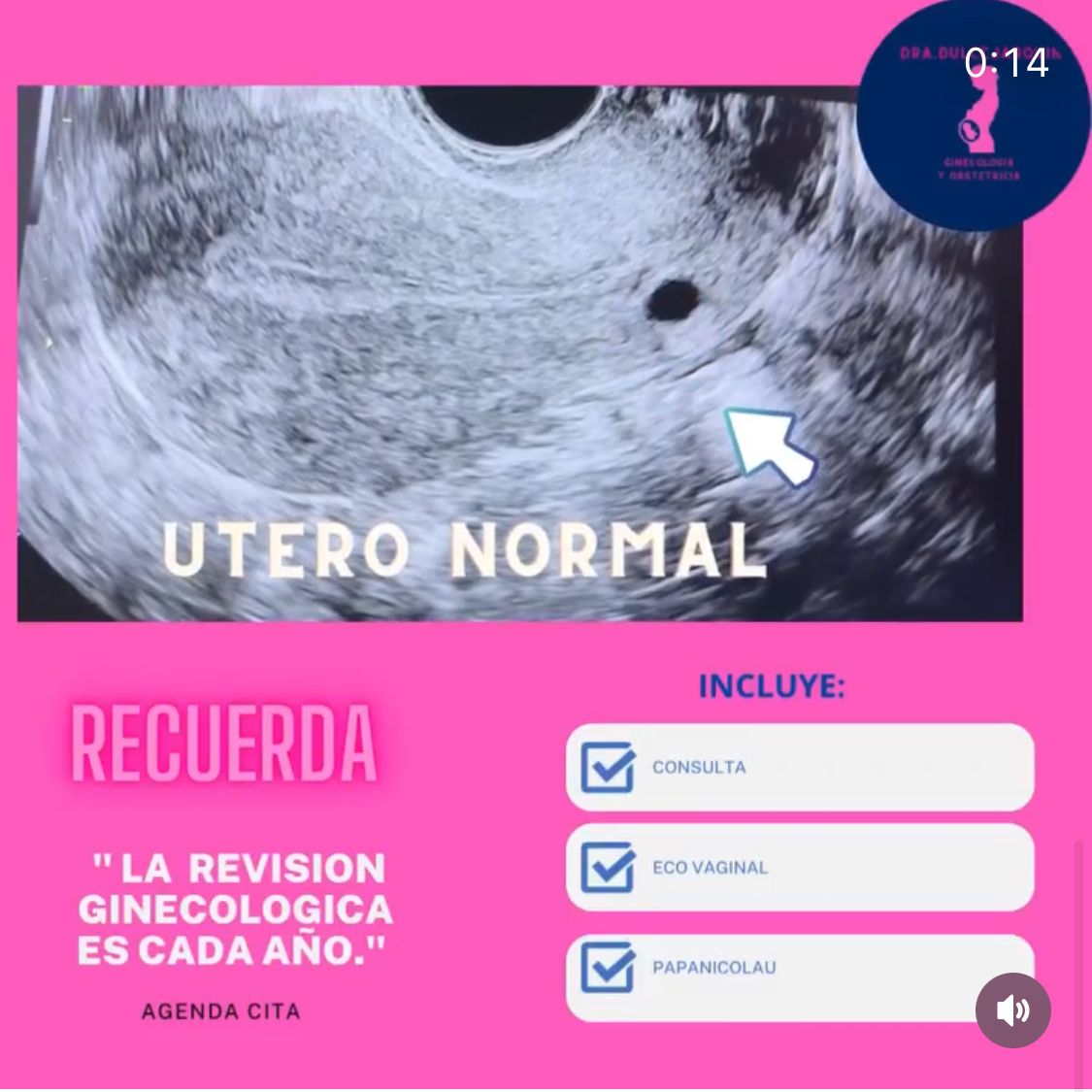 Dulce Anabel Jarquin Arango-22