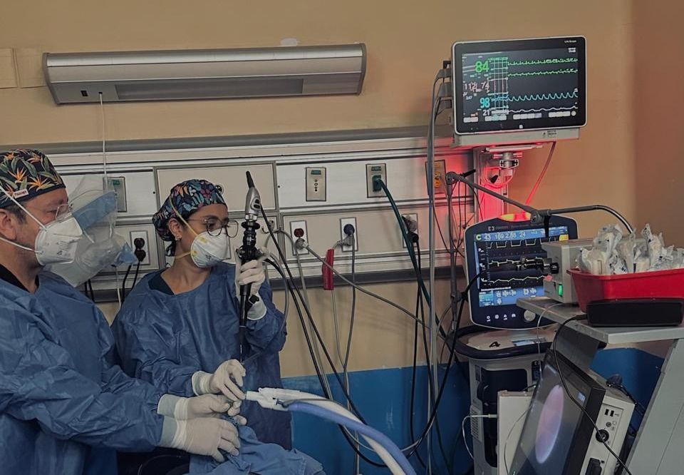 Silvia Polett  Ramirez Valdespino -3