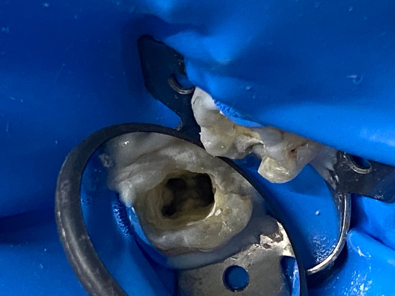 Norma Alicia Cienfuegos Reyes-3