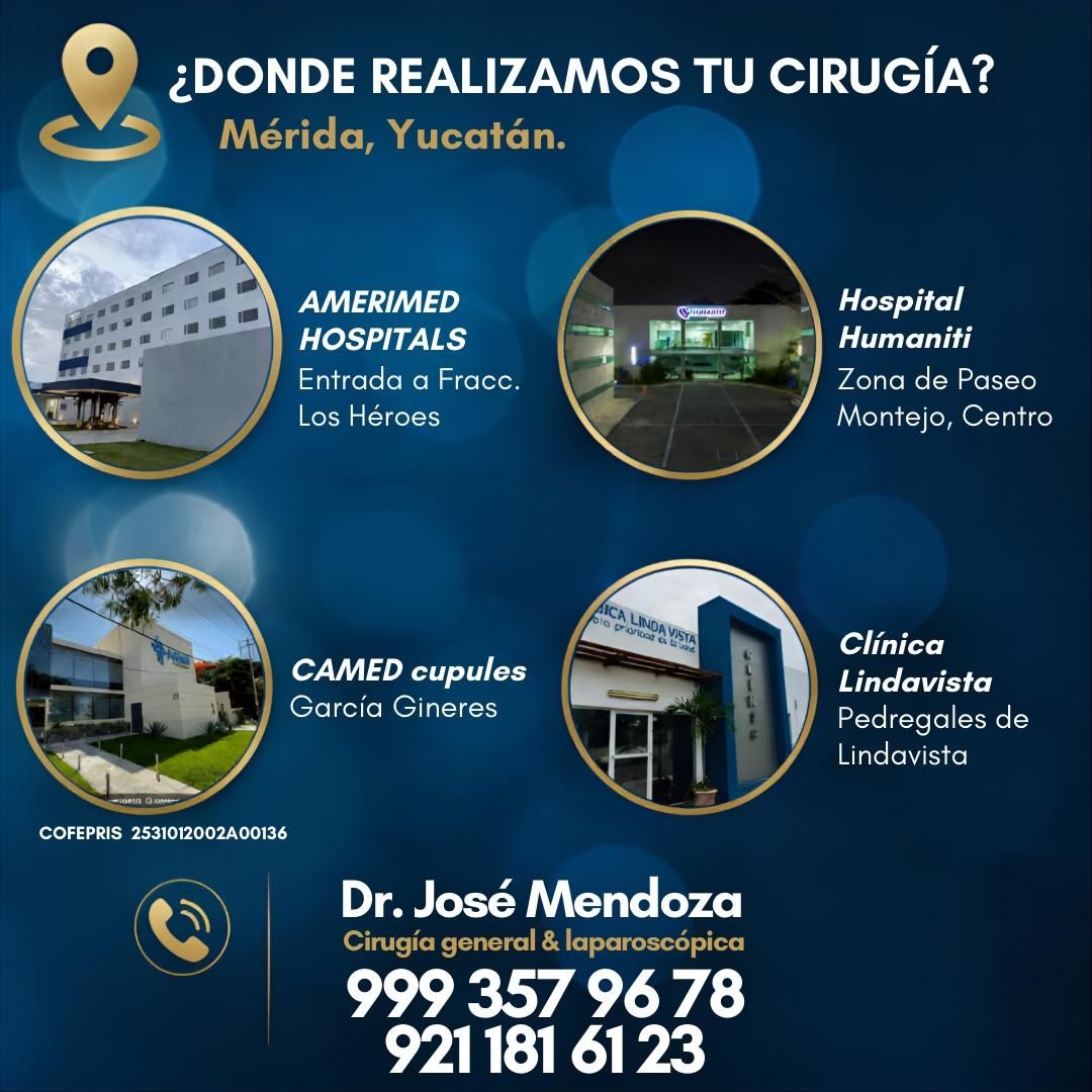 José De Jesus Mendoza Palomec-18