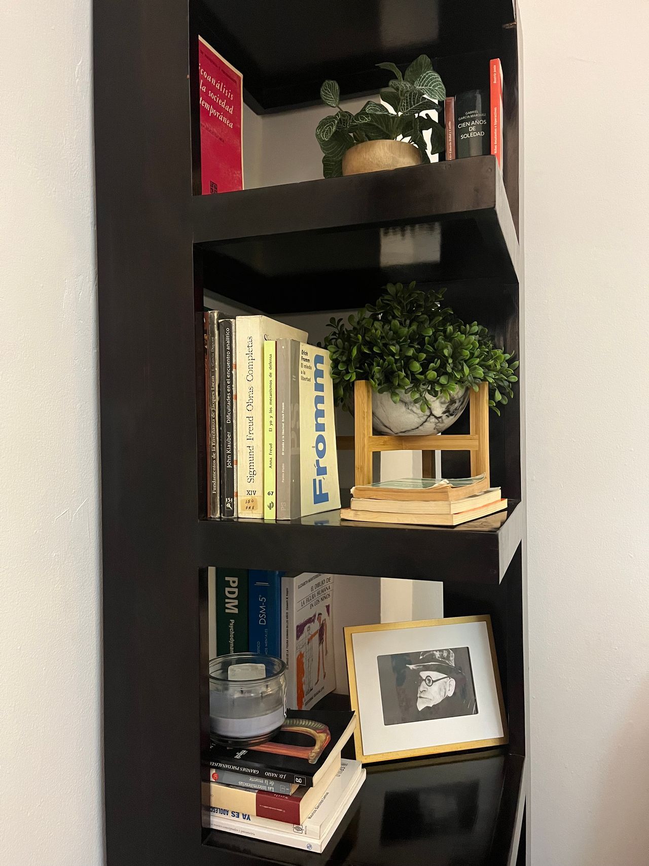 Celina Villarreal Pineda-3