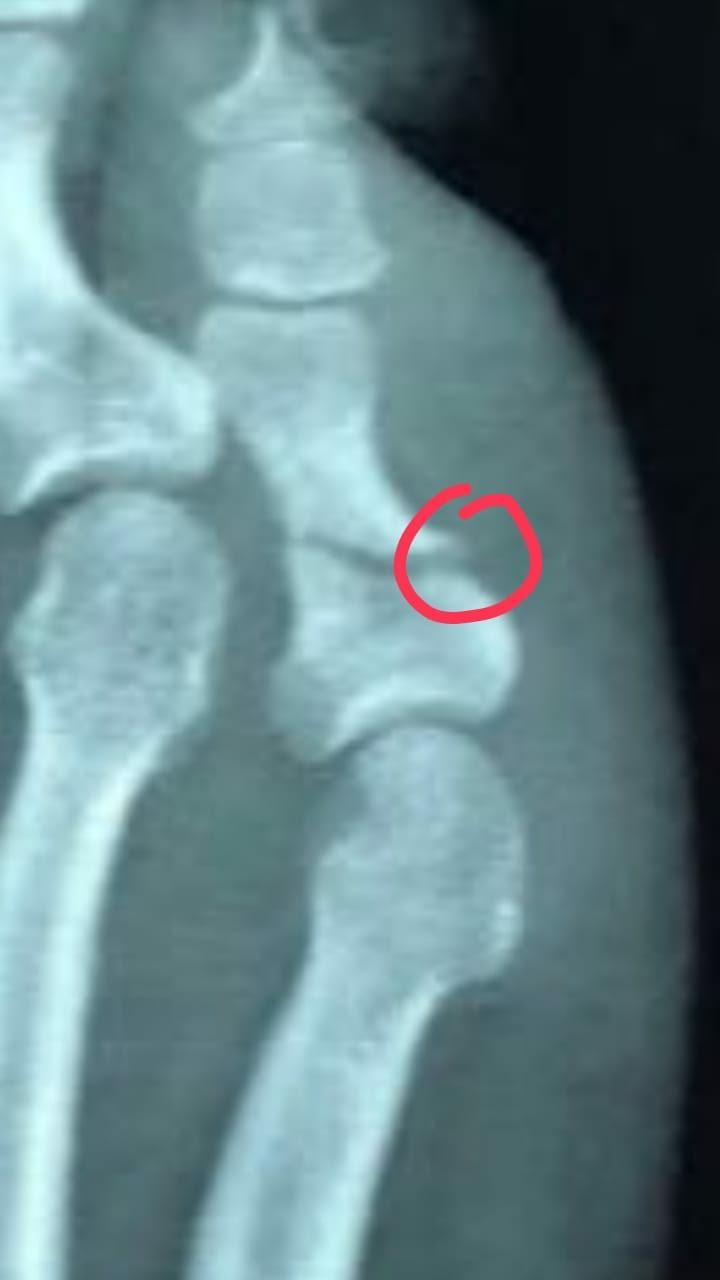 Mariana Garrido Harfuch-3