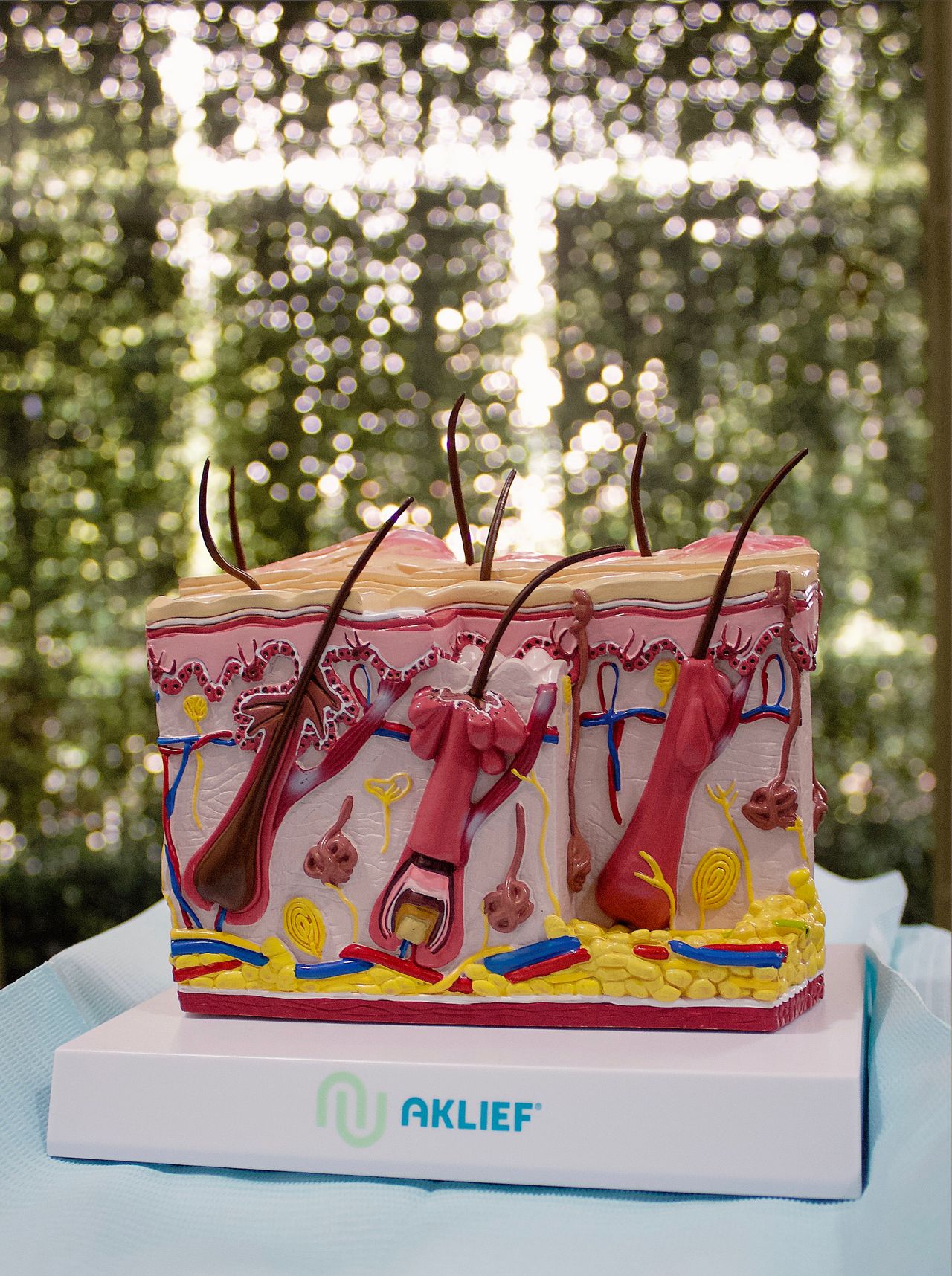 Alondra Saray Polanco Llanes-0