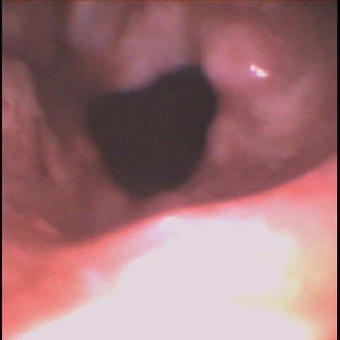 Alejandro Marin Castañeda Baron-8