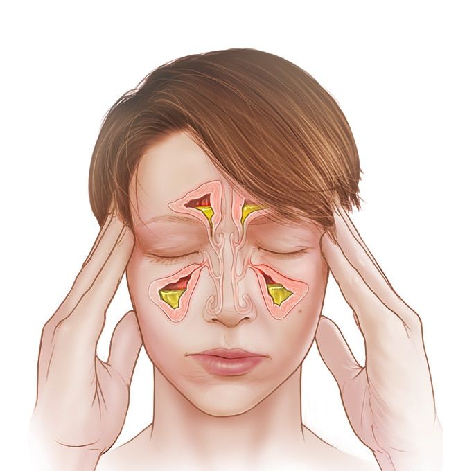 Alejandra Maria Corona Sandoval-10