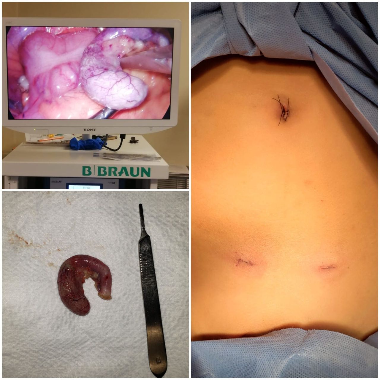 Gabriel Rangel Olvera-4