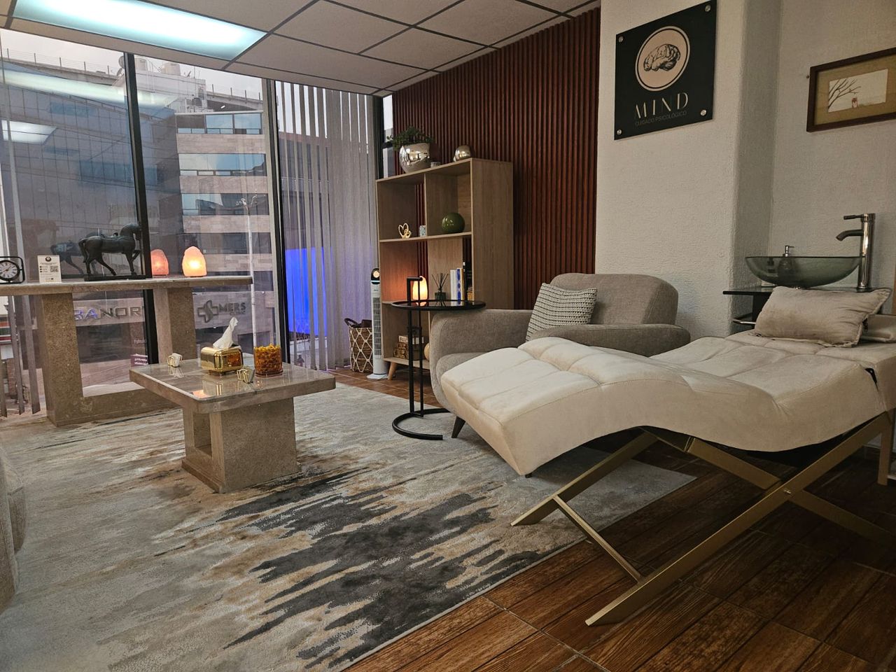 Laura López De Arriaga Candiani-9