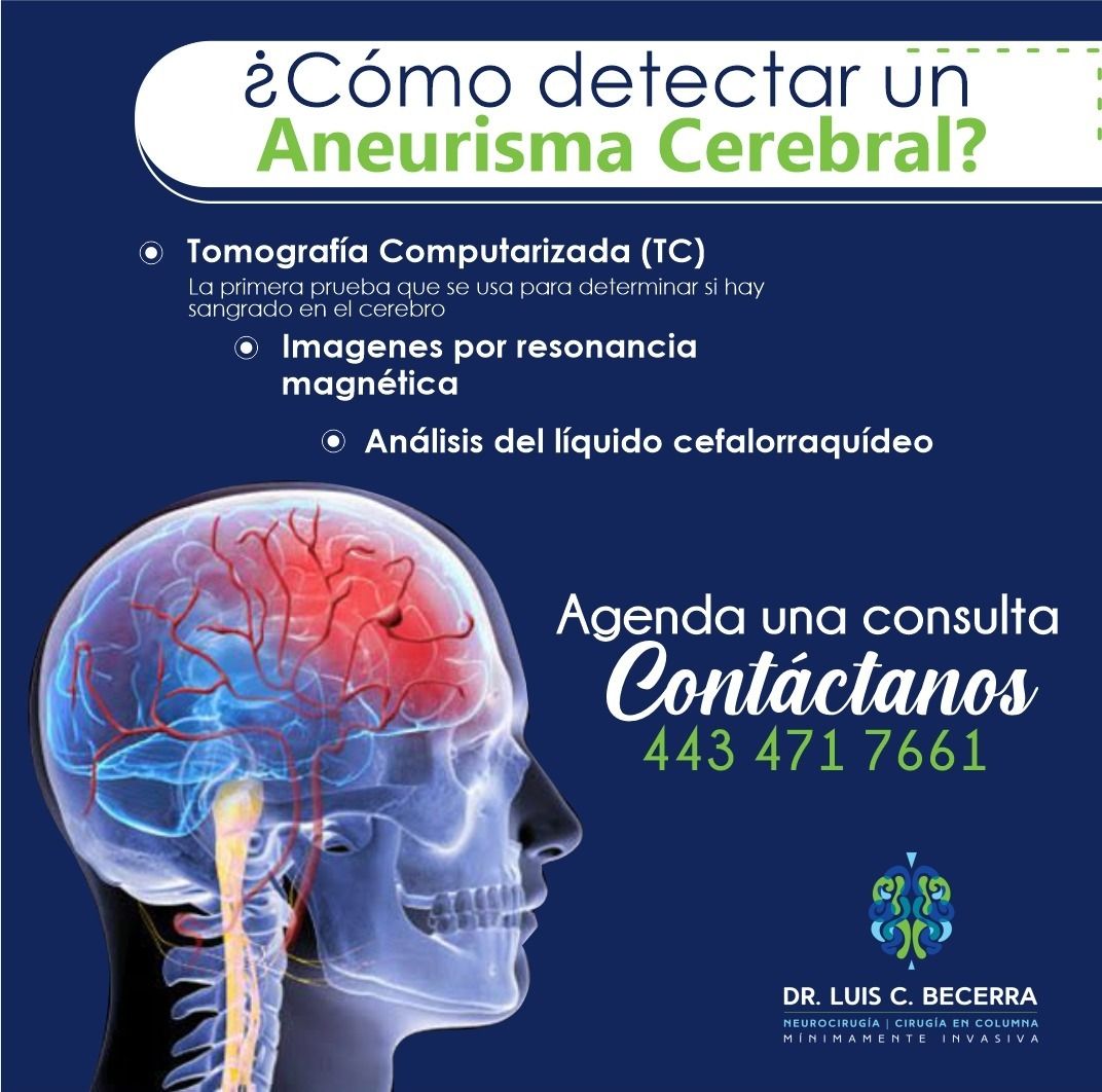Luis C Becerra-10