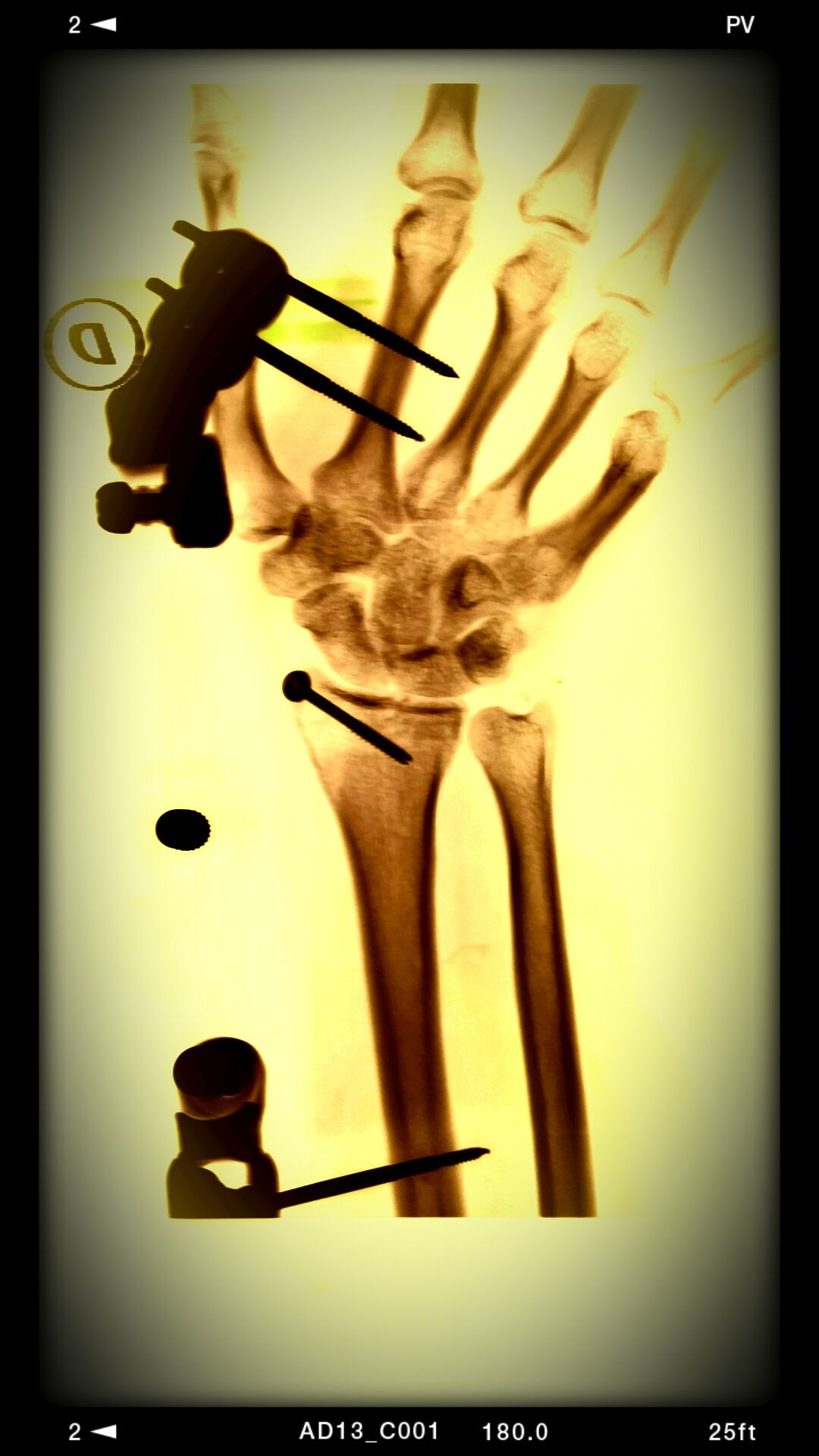 José Antonio Algarín Reyes-26