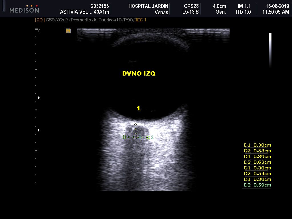 César R. Quezada Burgos-10