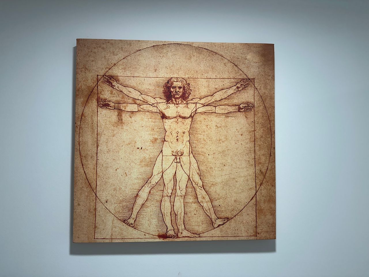 Jorge Hernández Cortez-4